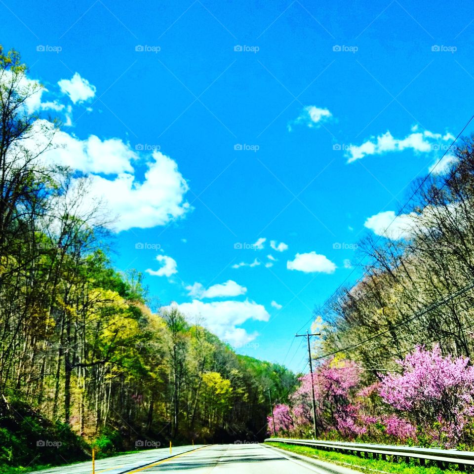 Highway Beauty