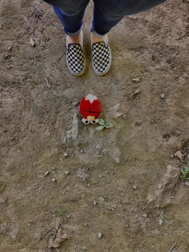 who killed elmo??