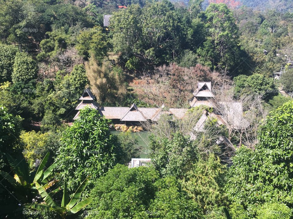 In the middle of trees!