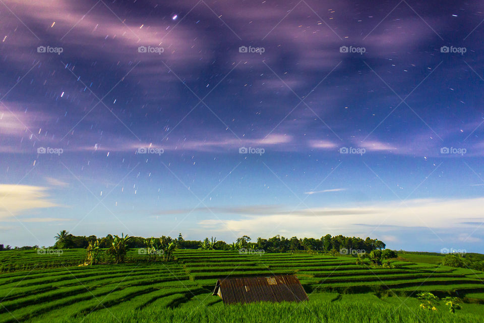 beauty night at rice fields in mountain range north bengkulu
