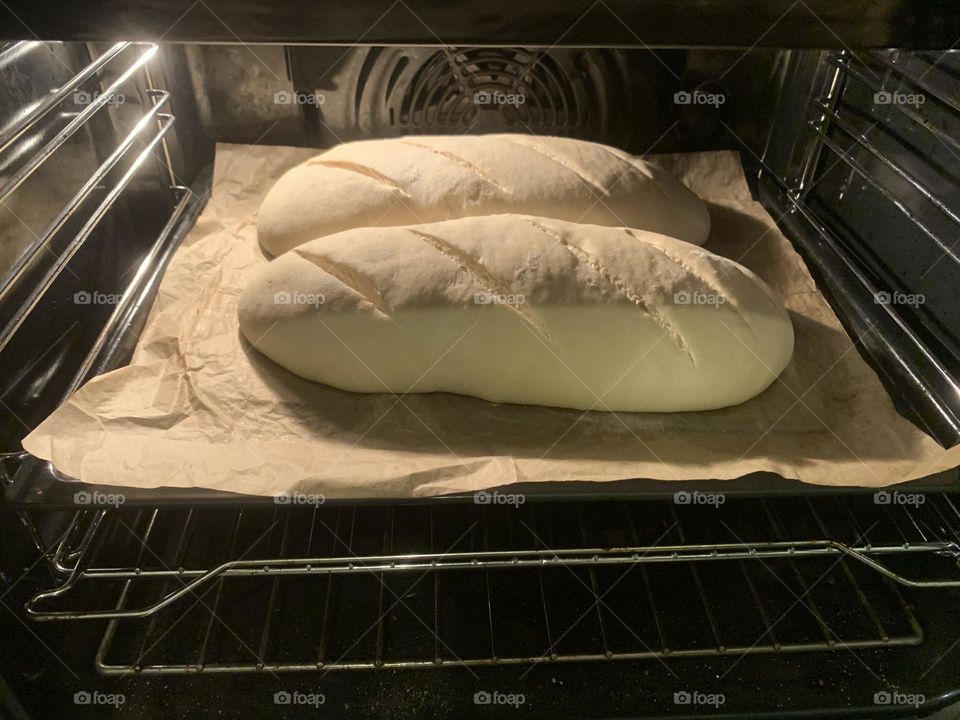 Bread dough loafs in oven