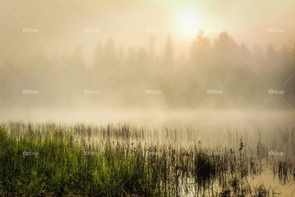 Morning Fog over Crane Prairie Lake Central Oregon Mountains