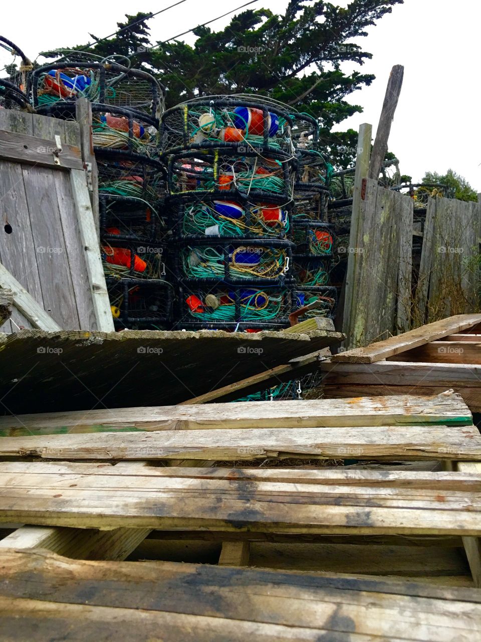 Colorful crab traps 