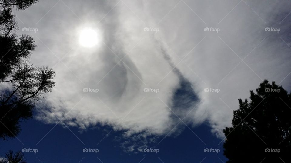 Face in the clouds
