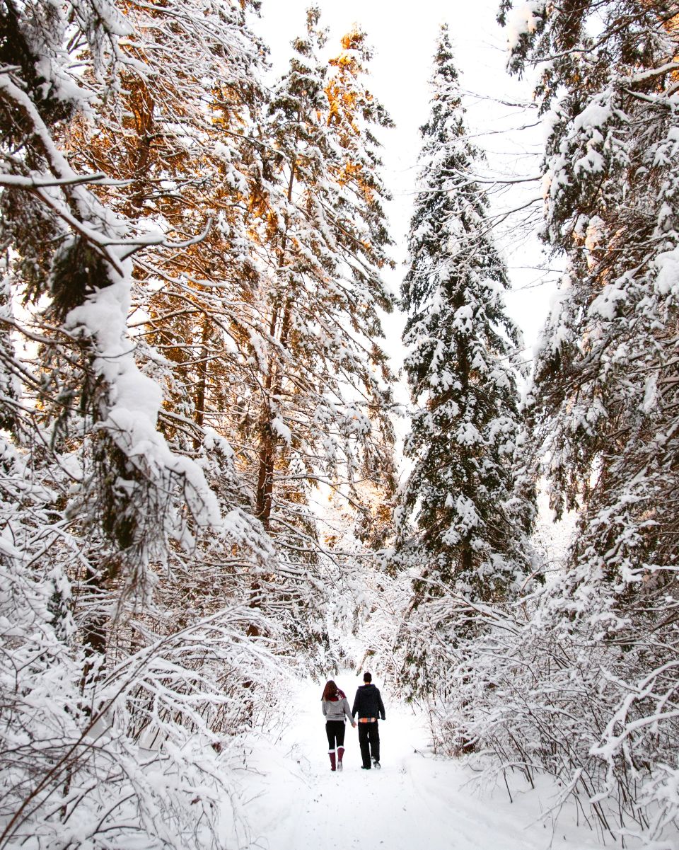 A couple walking into massive winter forest