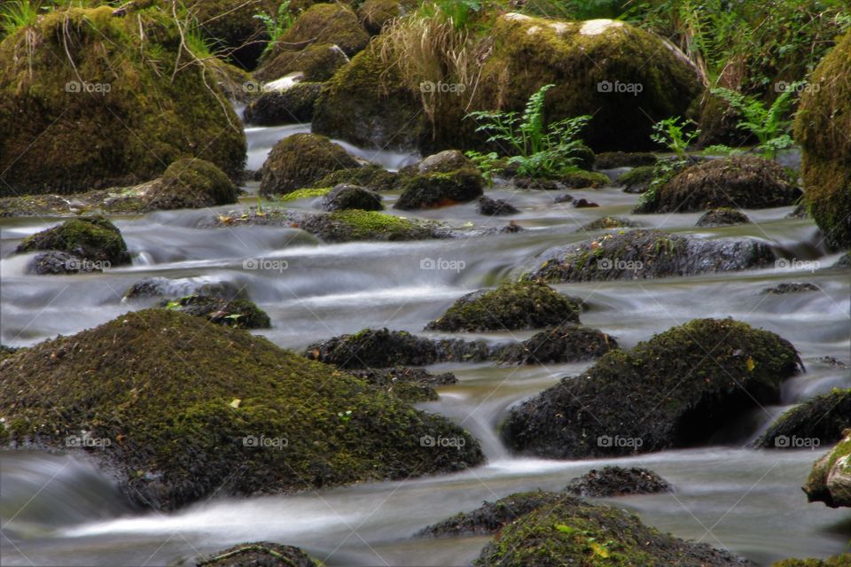 River Bovey