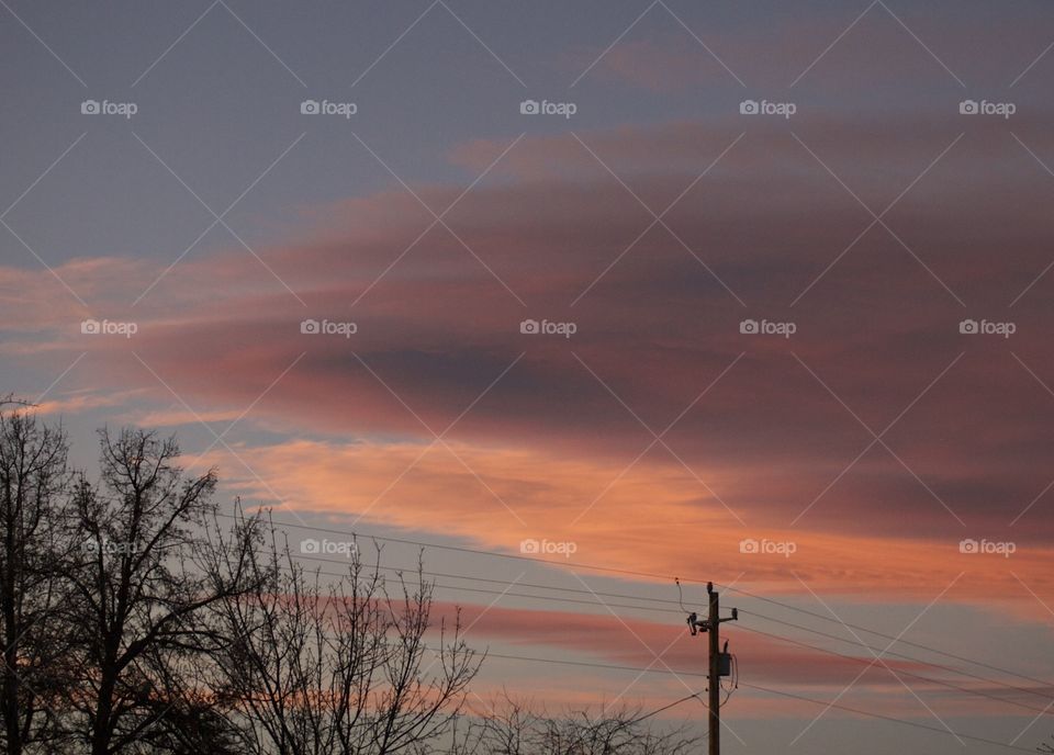 A lone cloud framed with bare trees lit up in a clear sky on a winter evening in Central Oregon. 