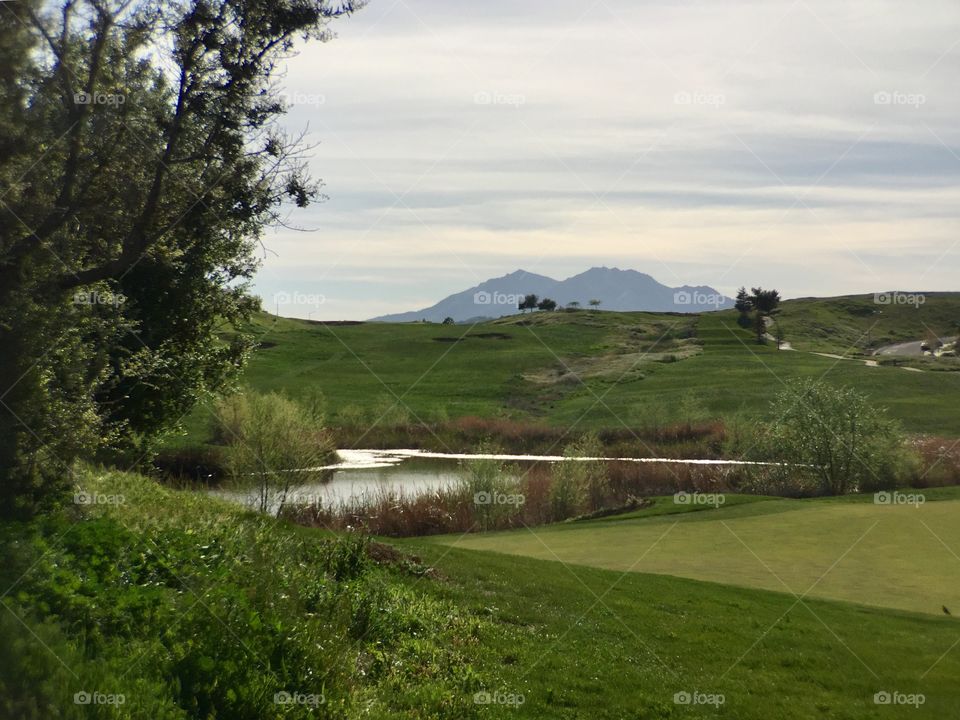 Green landscape with mountain 