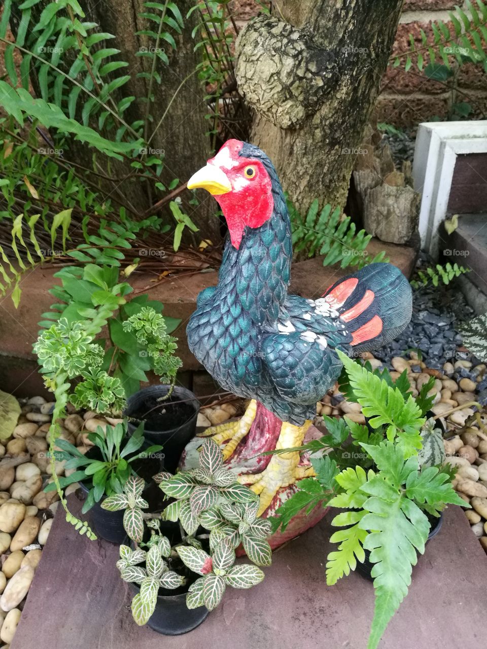 Rooster ornament in garden