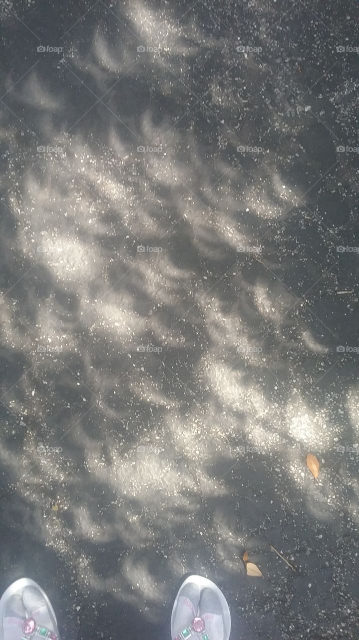 Shadows Made During the Solar Eclipse in Florida 2017