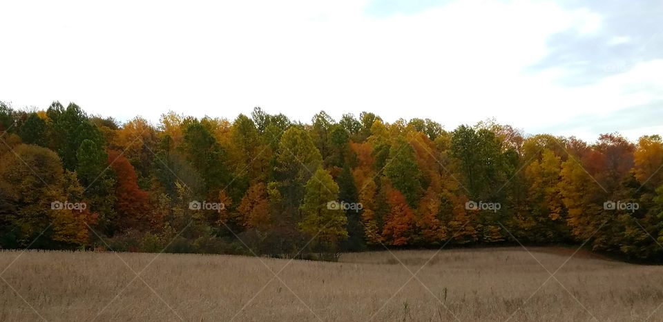 Autumn in New York 2