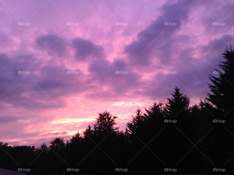 Purple sunset 2