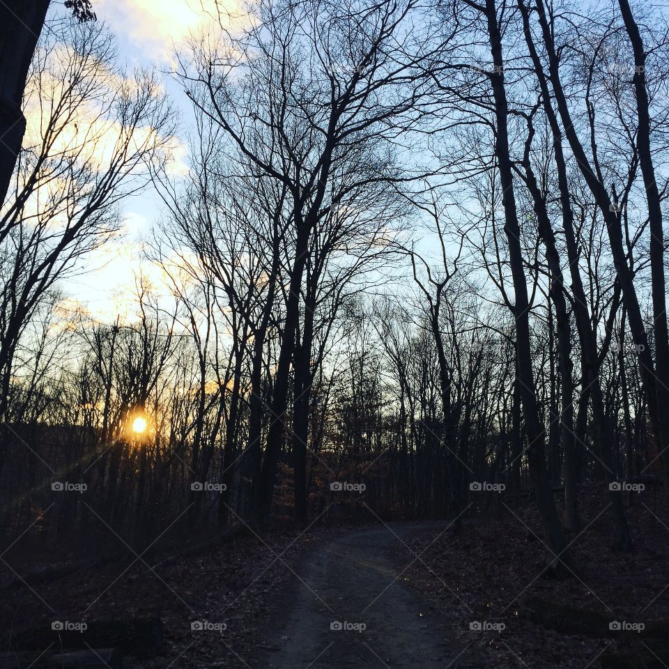 Back into the woods for some early morning solitude. A balmy 18F/-8C which explains why I didn't see anyone else. 

"In every walk with nature one receives far more than he seeks." -- John Muir