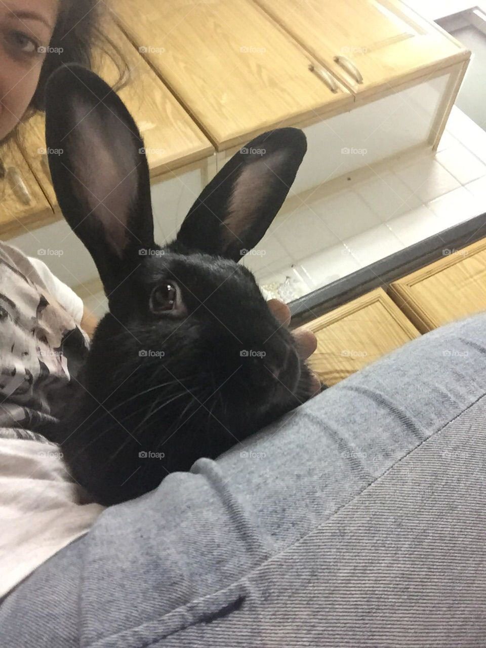 My black rabbit