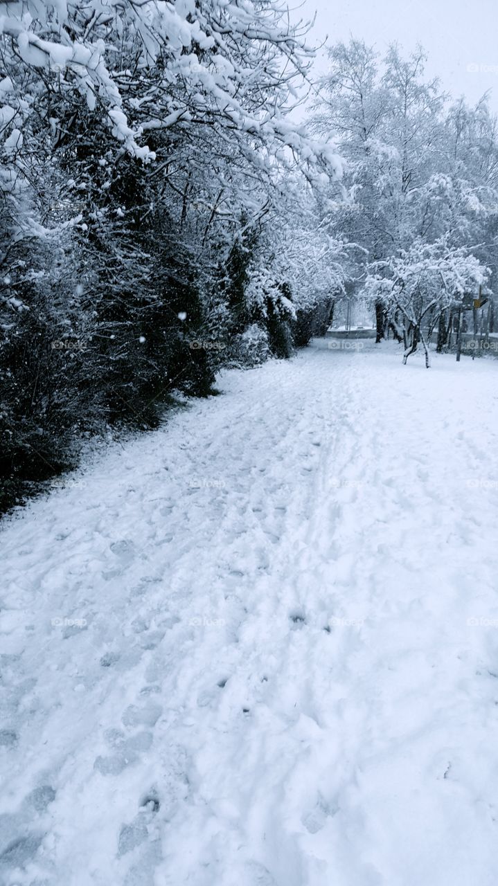 A winter walk