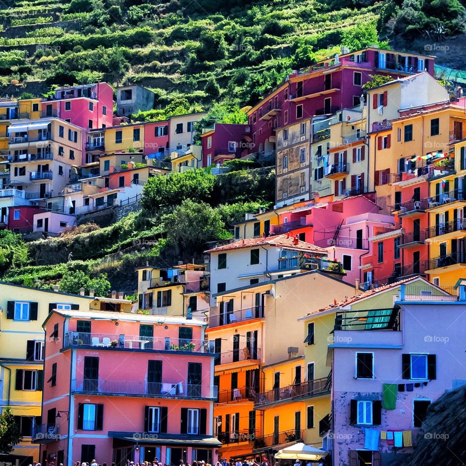 Cinque Terre 