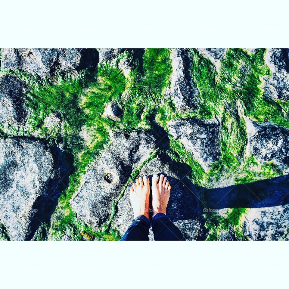 Happy feet in green seaweed 