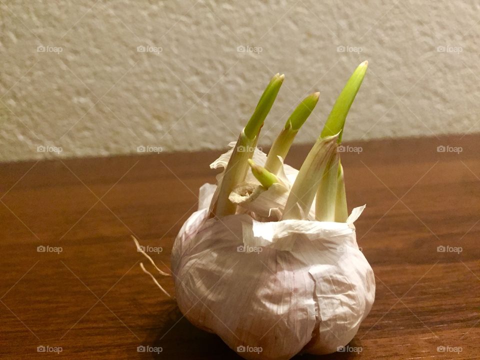 Garlic - spring in the kitchen 