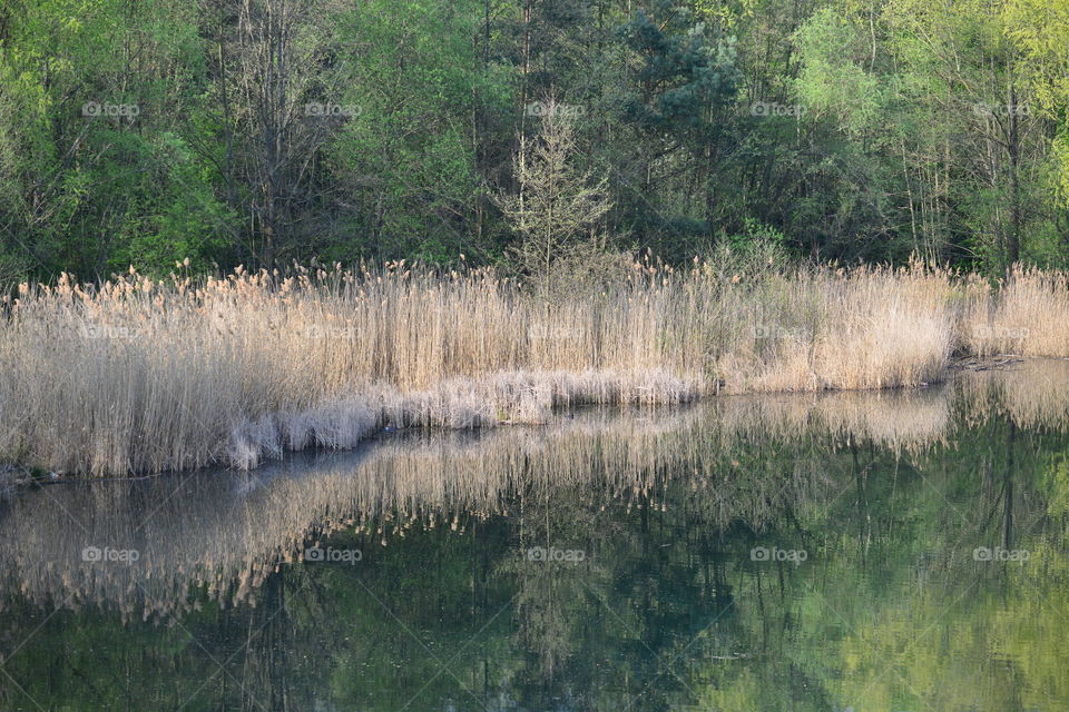 Steinbrüche Mühlheim