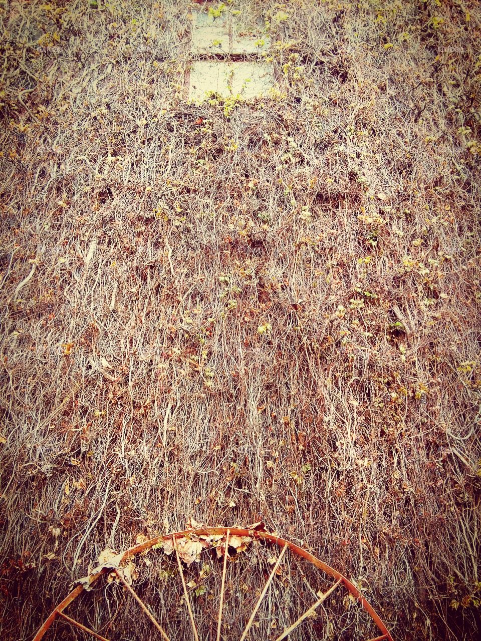 wall with window and wheel wheel