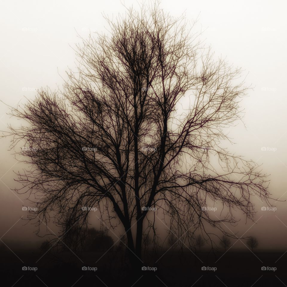 Wickedly sweet journey ends on this day ...here I am knowing there is no point in trying to discover oneself