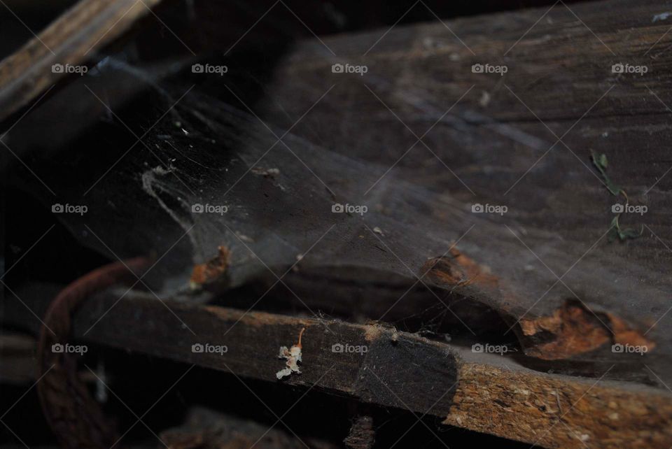 Holz Spinnennetz alt