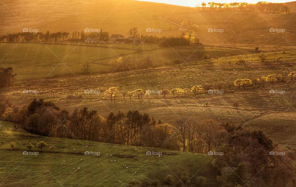 A view of Hadrian's wall in the Northumberland