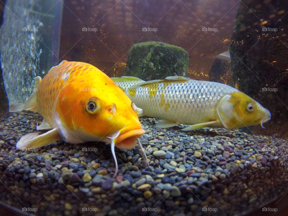 Up close and personal 