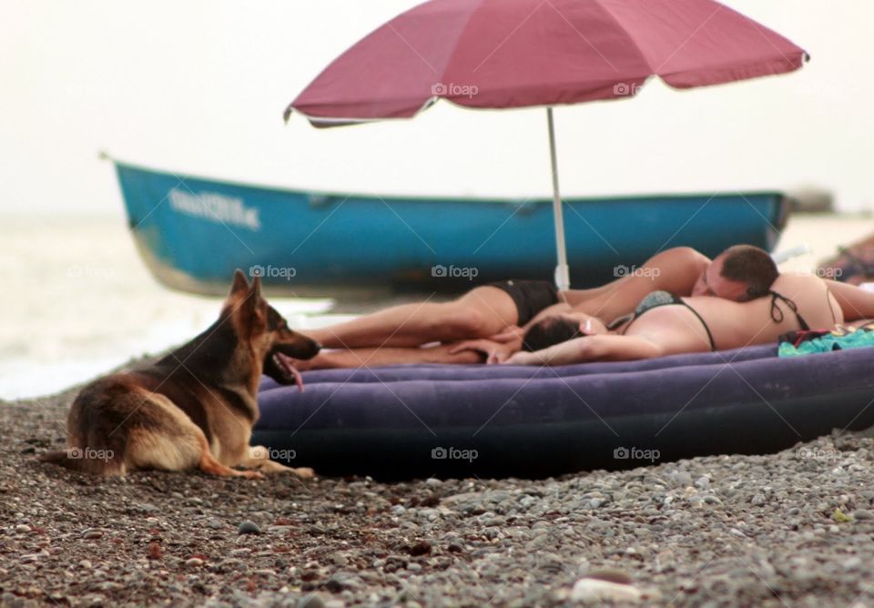 People with the dog at the beach 