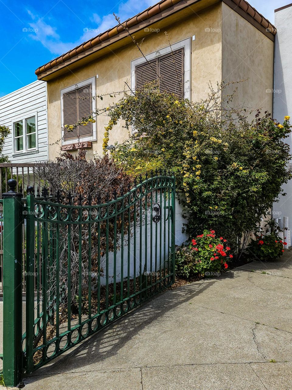 Iron gate leading into the driveway of a house in San Francisco California with flowers and trees lush and vibrant in the spring 