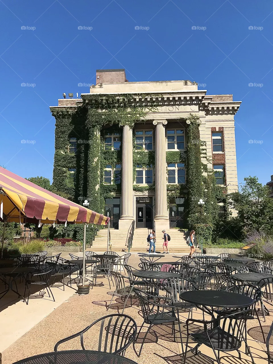 Northrop Mall, University of Minnesota Twin Cities Campus