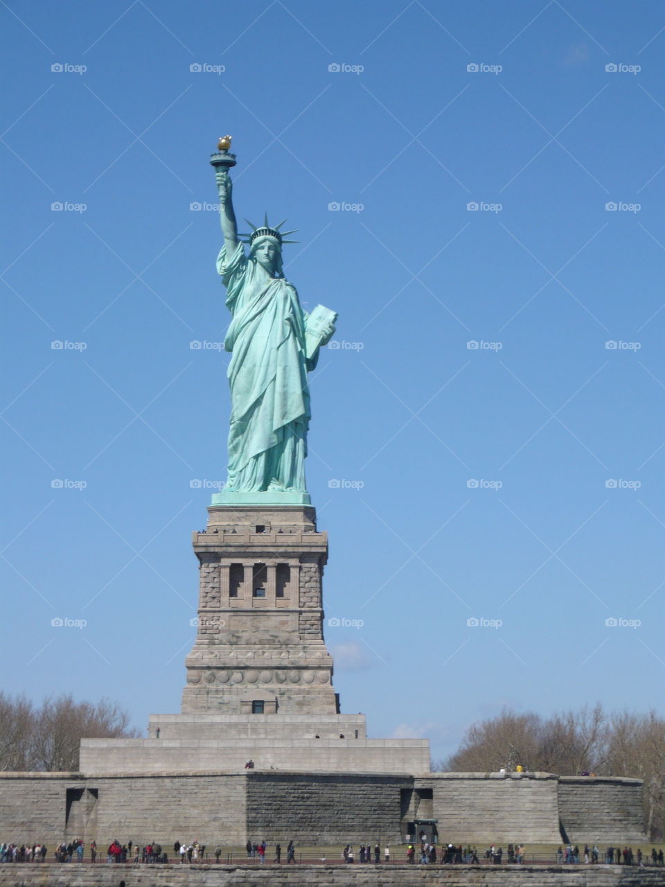 An image of Lady Liberty.