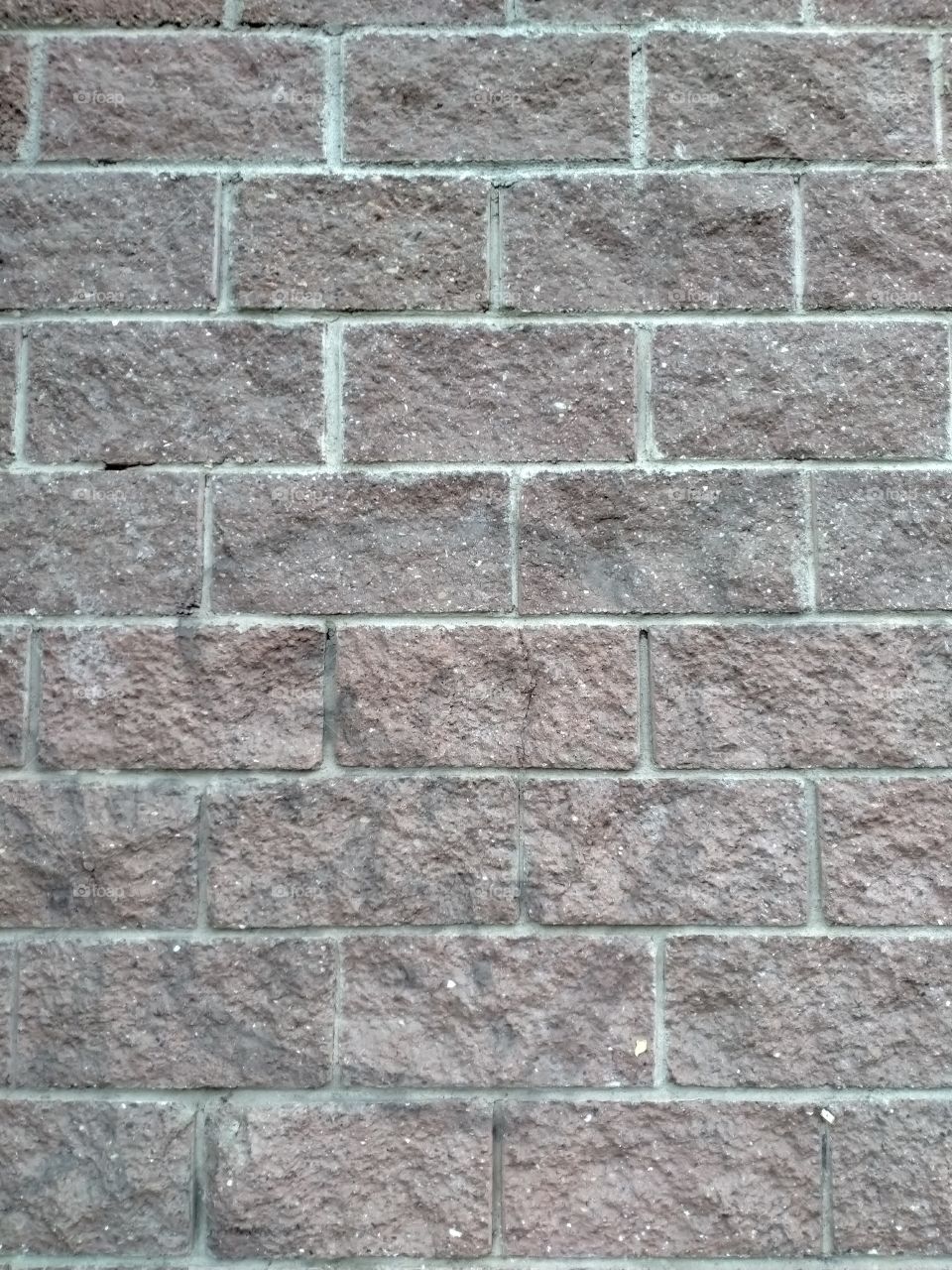 bricks