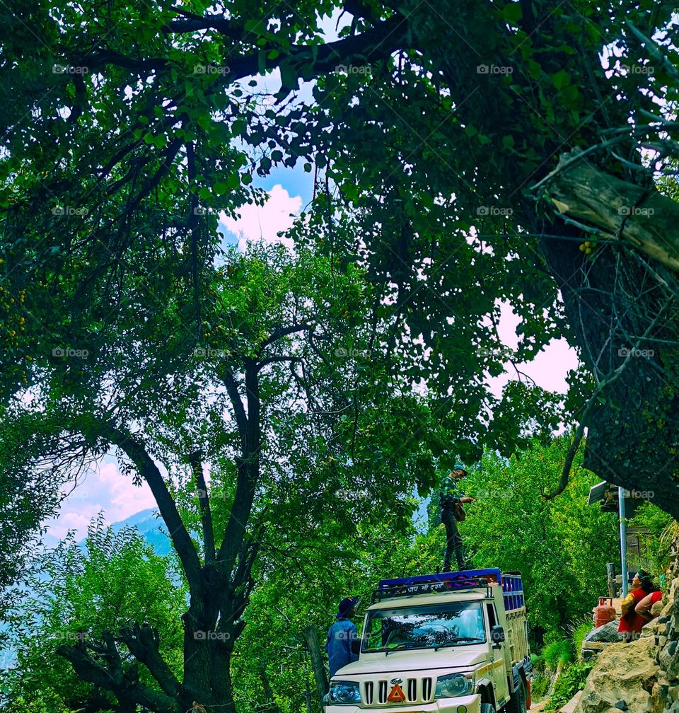 Man standing on pick up truck