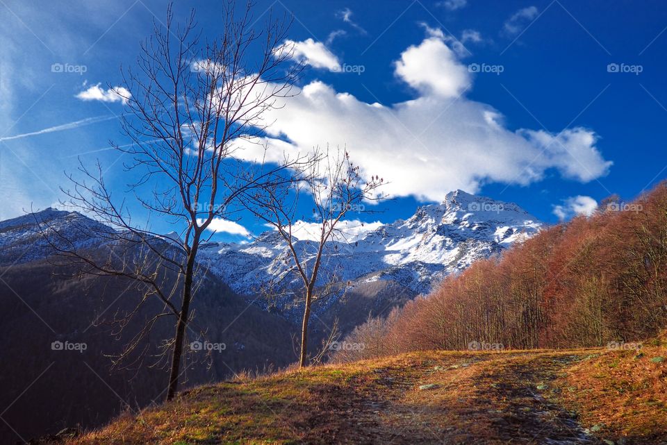 into the winter time