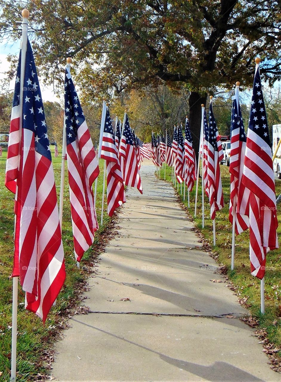 American flags flutter, gently resonating patriotism in Small Town America. Dozens of flags lined the sidewalks during the Veterans Day Ceremonies in Ottawa, Kansas.