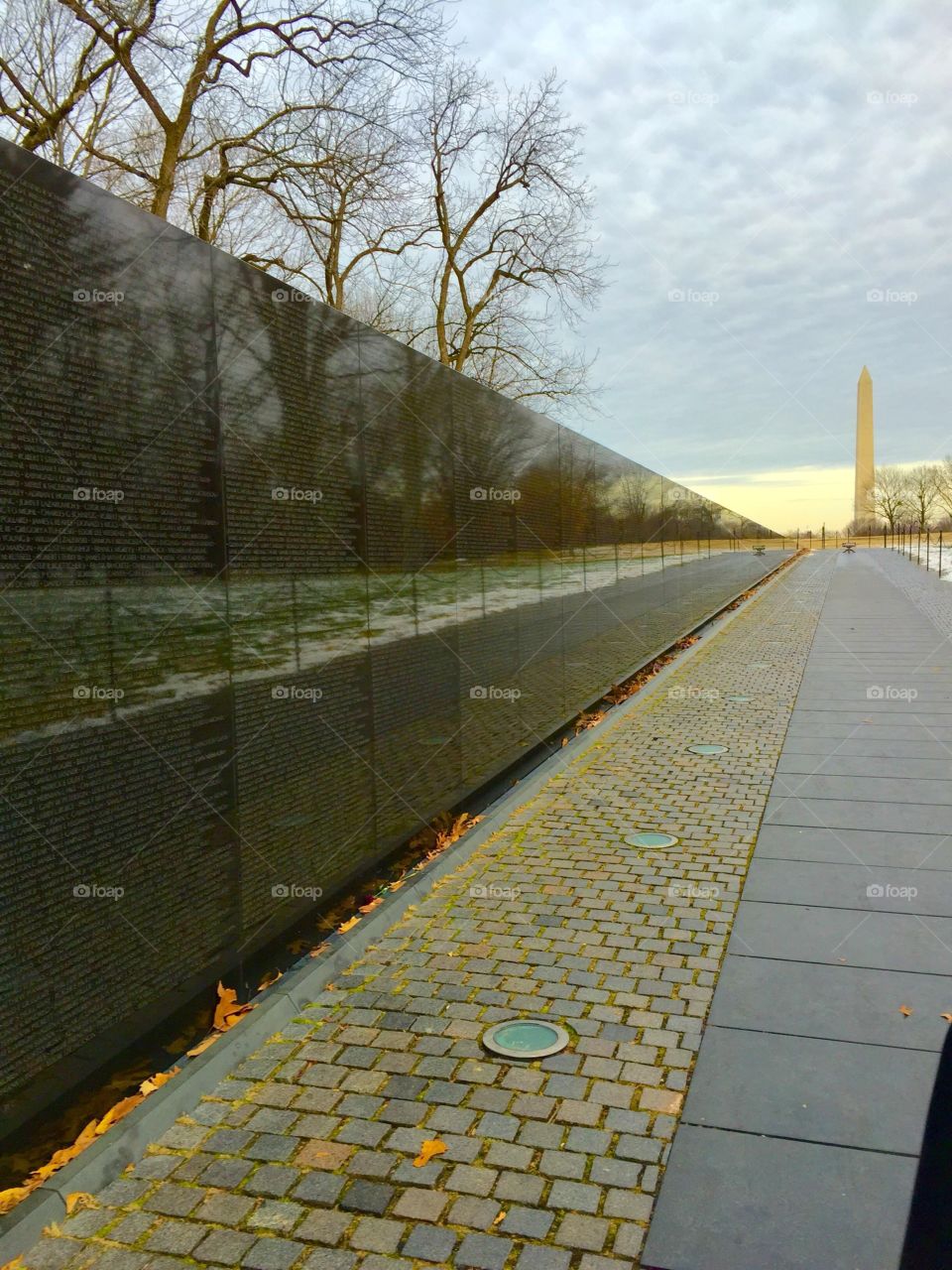 Washington D.C. stroll