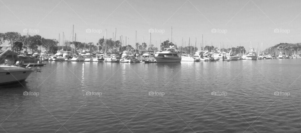 bw marina 