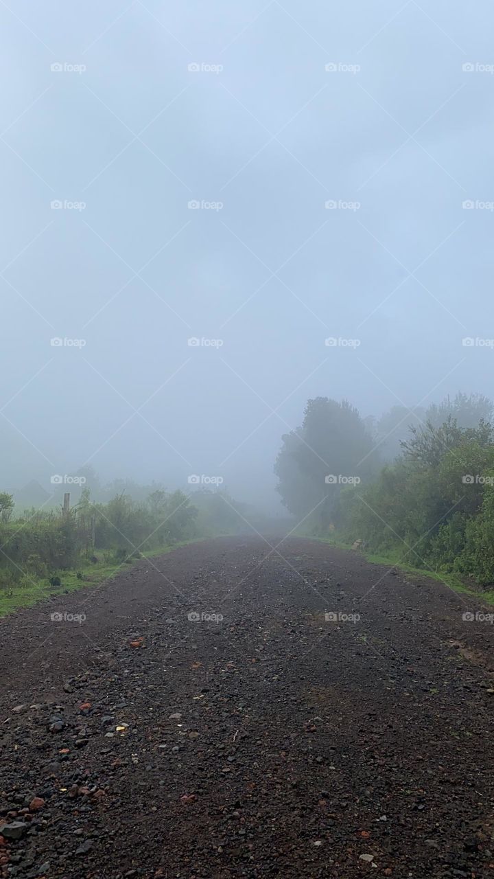 Fog on the road