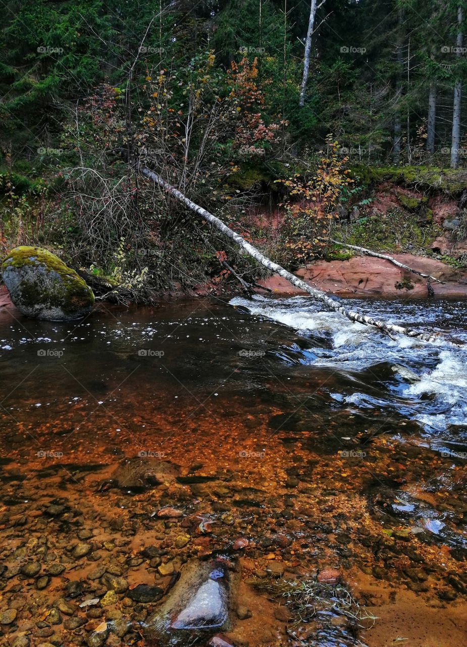 River Amata. Latvia.