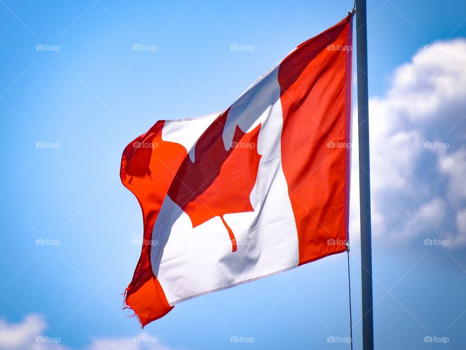 Canadian flag in the wind