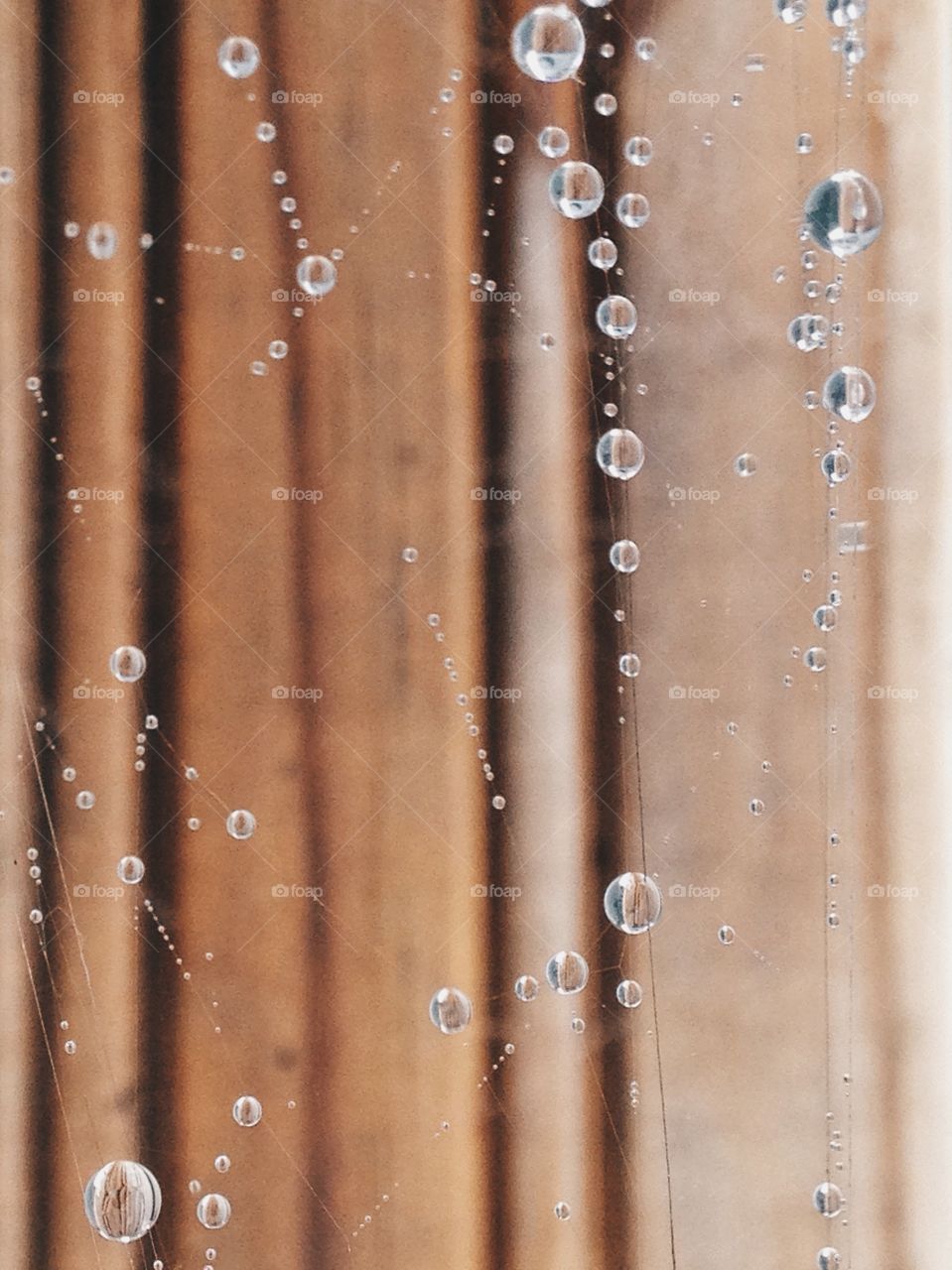 Water drop on window