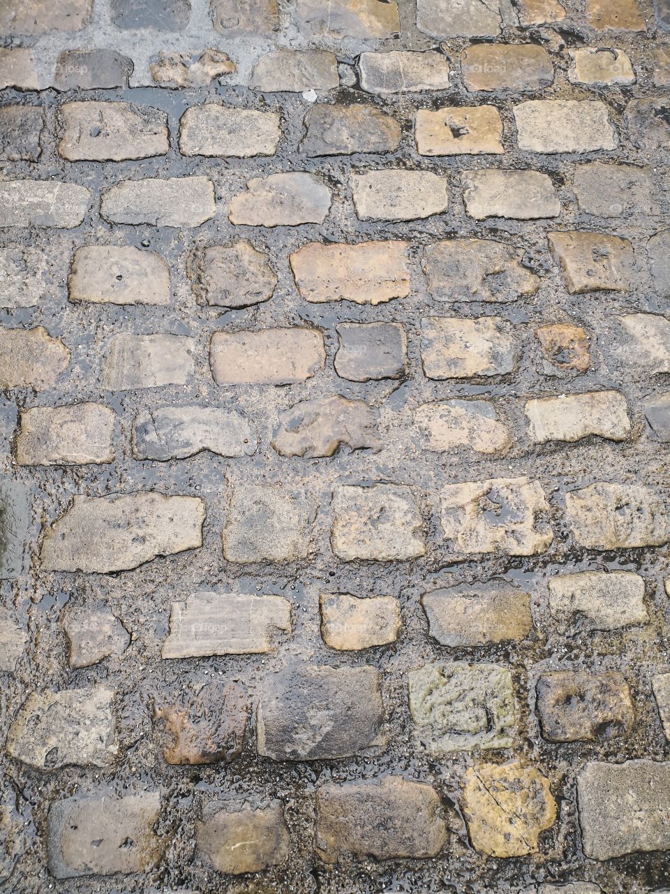 Floor, Urban, Luxembourg, Luxembourg