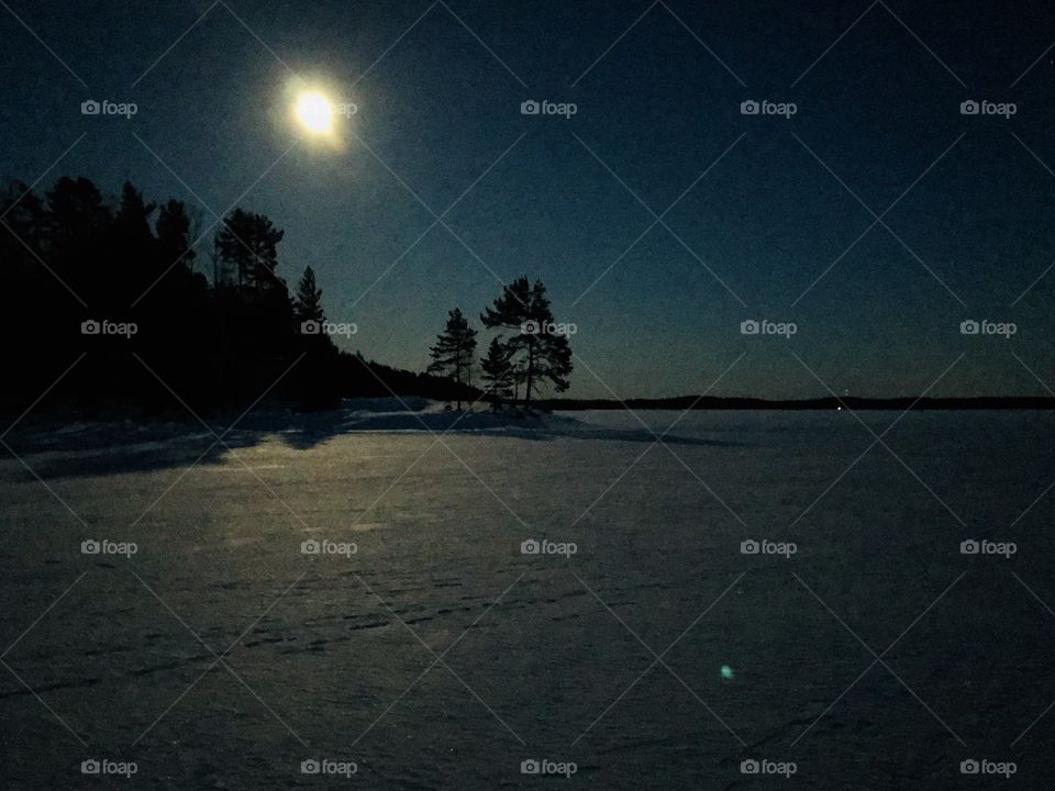 Moonlight on a winters night 