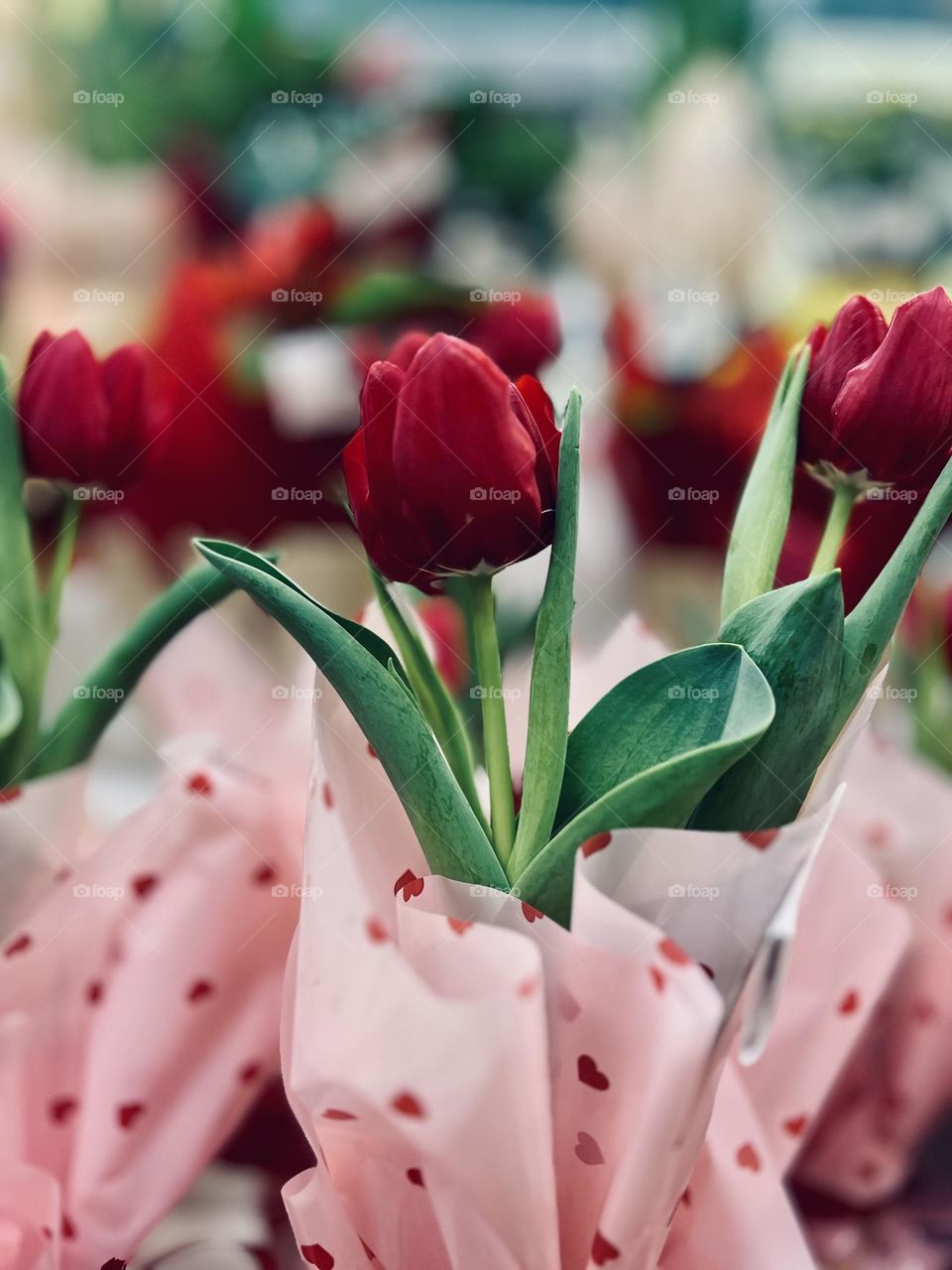 A bouquet of vibrant red tulips wrapped in pink cellophane with a heart print and red ribbons, carefully arranged on a counter, transmitting love and affection