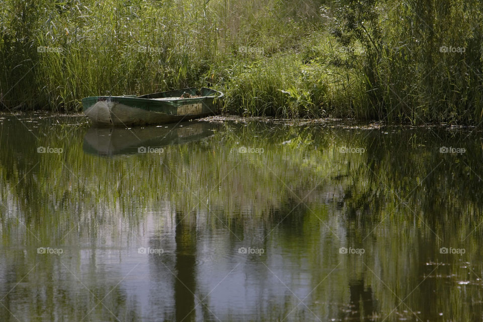 Water, River, Reflection, Nature, Lake