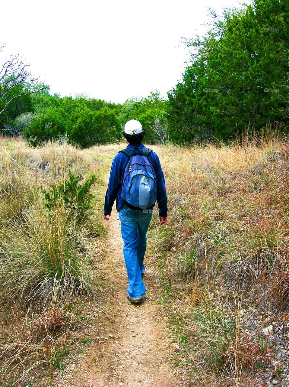 Hiking in the woods