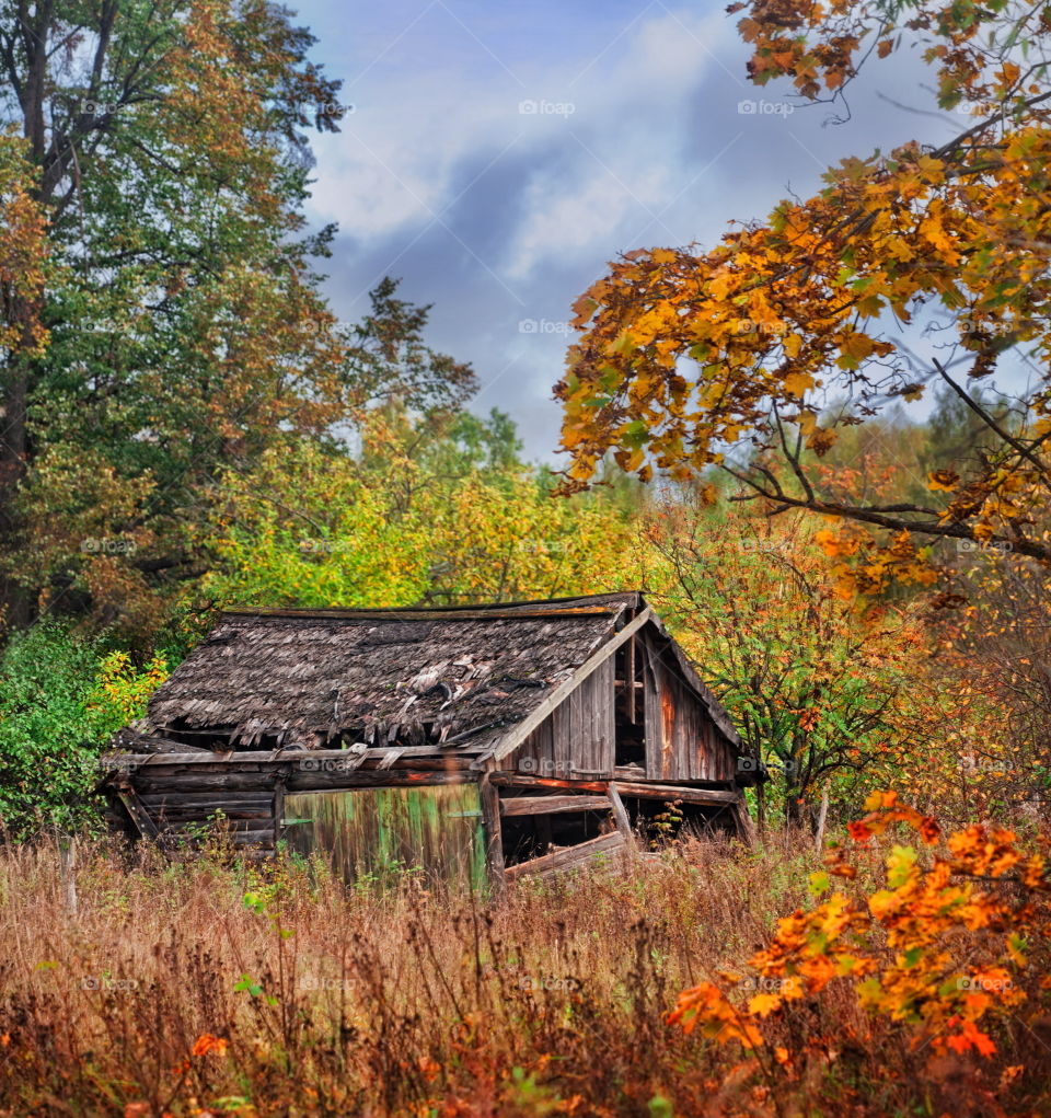 Autumn rural landscape with old house
