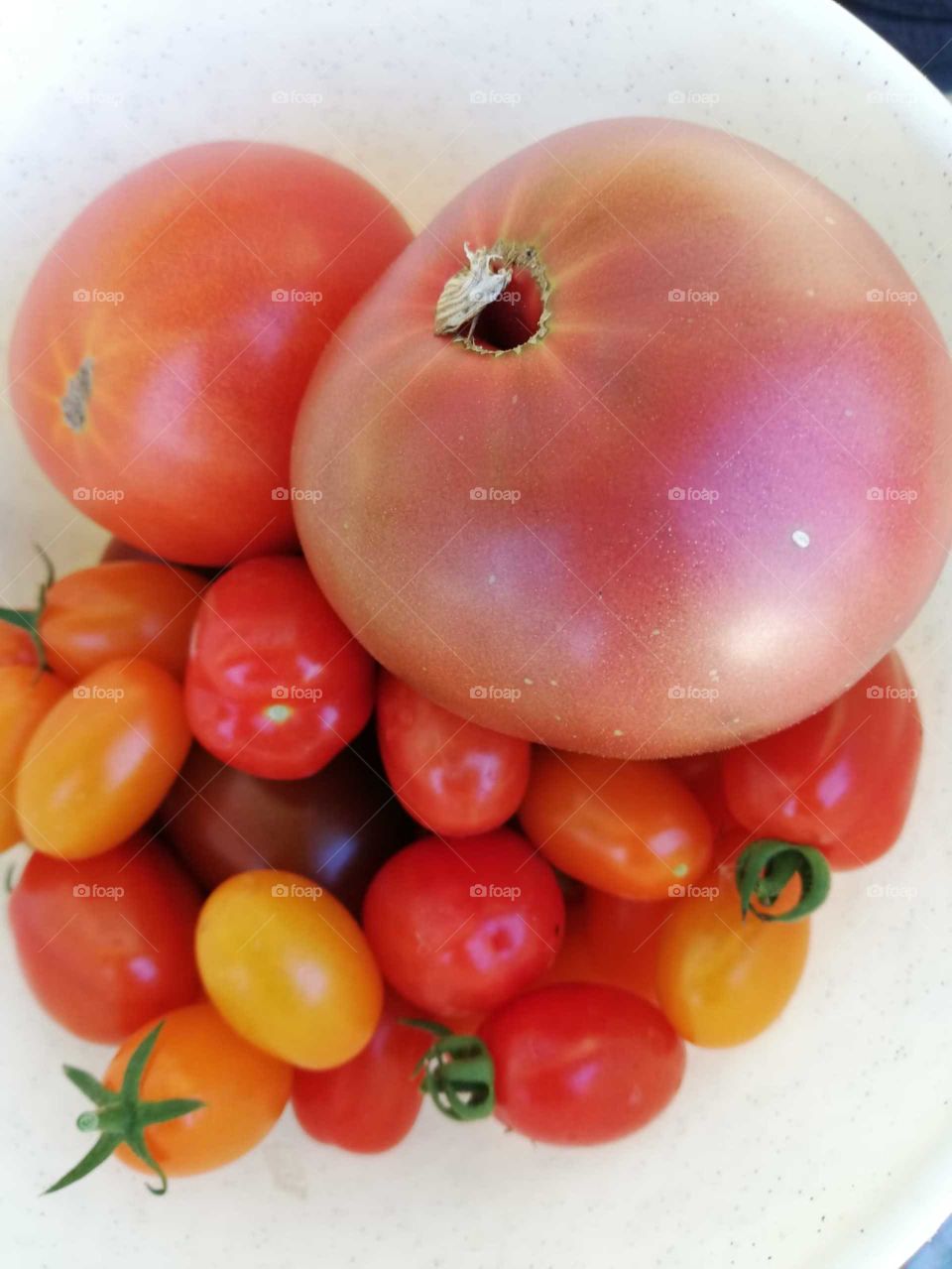 Tomatoes from our garden