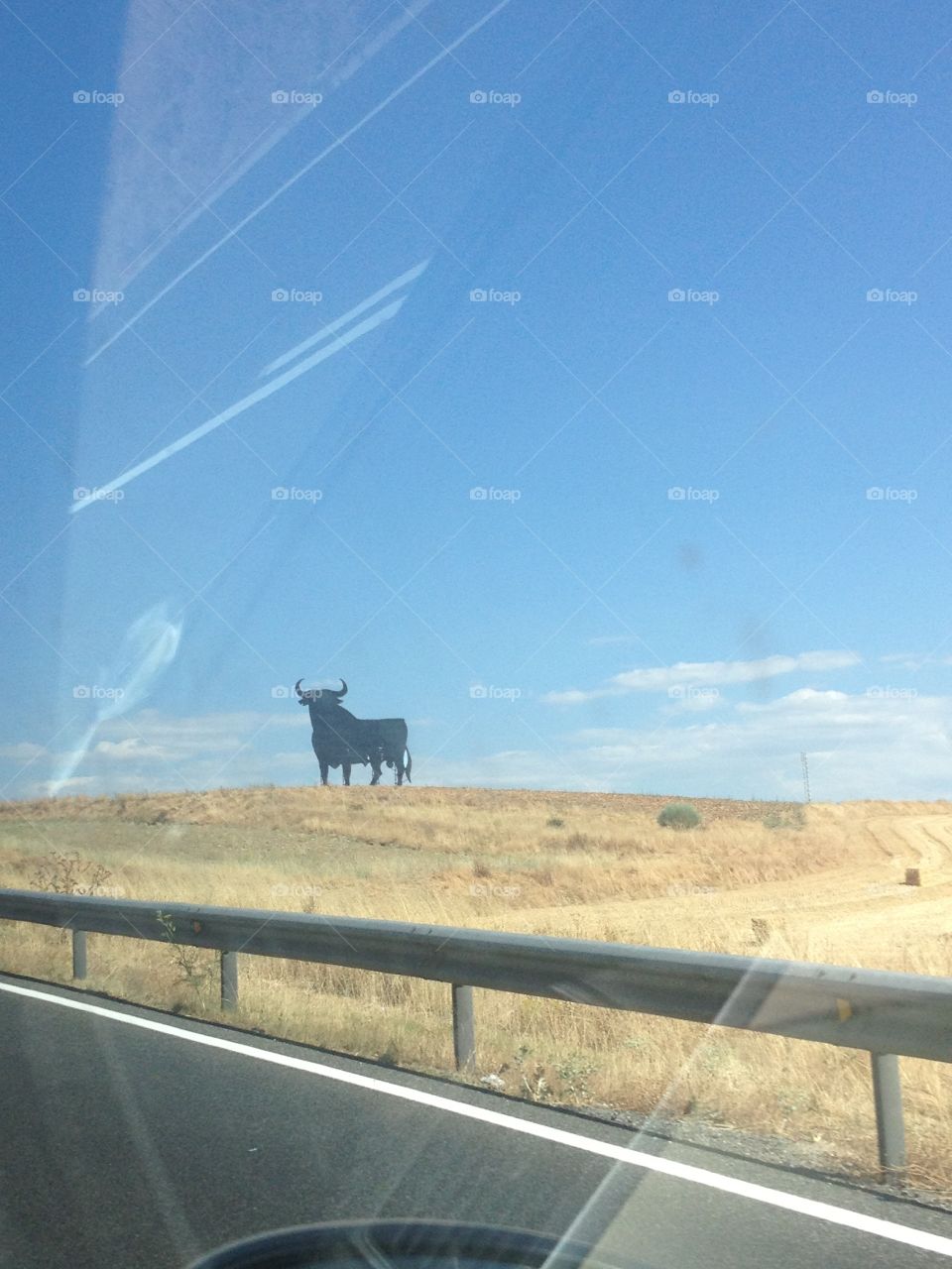 Toro carretera Highway Bull
